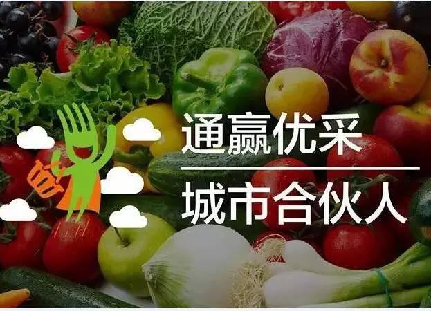 通赢优采全国各地城市合伙人活动大集锦第二季