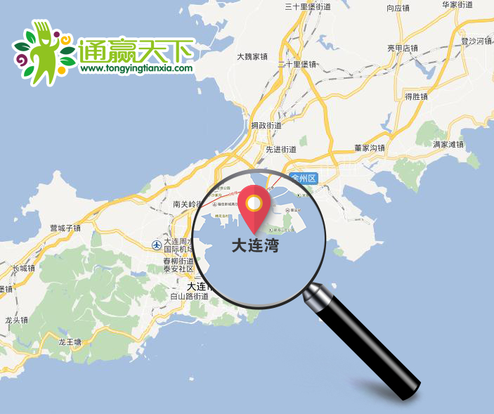 好事成双,大连湾,大孤山城市服务站双双上线啦!